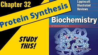 Lippincotts Biochemistry Review Chapter 32 Protein Synthesis  Study This [upl. by Tolliver]