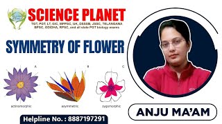 SYMMETRY OF FLOWERS II BY ANJU MAM II SCIENCE PLANET II [upl. by Ahtibat]