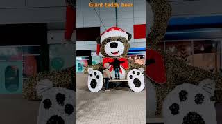 Giant teddy bear😍for Christmas decoration [upl. by Monto]