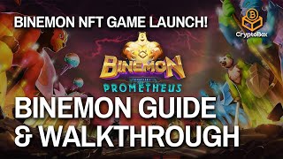 BINEMON GUIDEWALKTHROUGH HOW TO UNDERSTAND MONS STATS amp START  Binemon Beginners Guide [upl. by Oirogerg318]