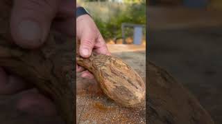 Sanding bringing the spalted wood lines out on thiis spoon youtubehighfive youtubecreators [upl. by Yllet]