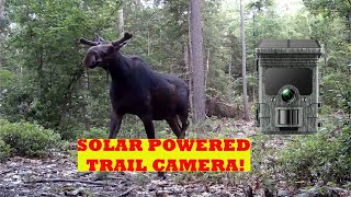 CamPark Trail Cam Videos [upl. by Silbahc]