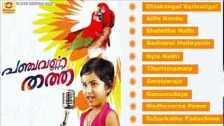 Mappilapattukal  Panchavarnna Thatha  Malayalam Mappila Songs  Audio Jukebox [upl. by Mloclam]