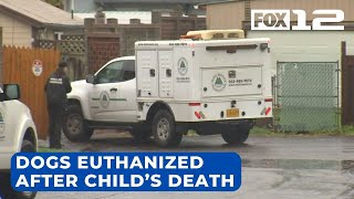 Dogs involved in NE Portland child’s death euthanized [upl. by Anegue254]