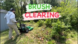 quotUltimate Brush Clearing with Billygoat Brush Hog 🌿🚜quot landscapes mowing business [upl. by Imre]