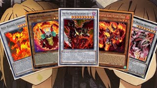 My Red Dragon Archfiend Yugioh Deck Profile for Post September 2024 Banlist [upl. by Oicneserc]