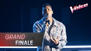 Grand Finale Johnny Manuel Sings My Heart Will Go On  The Voice Australia 2020 [upl. by Aneleve]