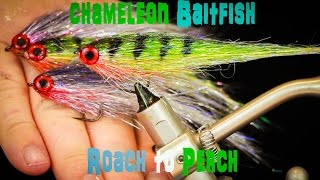 Tying the Chameleon Baitfish Perch Fly [upl. by Gregg]