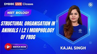 Structural Organisation in Animals I L2 I Morphology of Frog  Biology  NEET 2025  Kajal Singh [upl. by Wain]