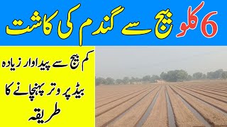 6Kg Wheat Sowing Method Irrigation method in bed sowing wheat How to Increase Wheat tillers [upl. by Cusack747]