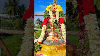 Amman whatsapp status tamil Amman status Amman ammanstatustamil temple kovilthiruvizha shorts [upl. by Bogusz147]