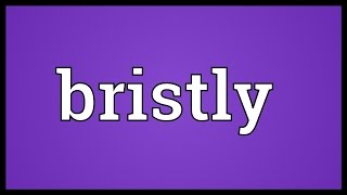 Bristly Meaning [upl. by Soane]