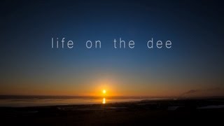 life on the dee  Wildlife Documentary [upl. by Agathy]