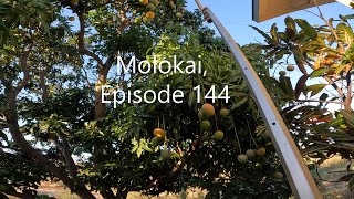 Molokai Life episode 144 [upl. by Sedecrem]