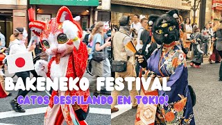 VLOG desfile de gatos en Tokio y Kabukicho Tower de noche ✨  Chilena viviendo en Japón 🇯🇵🇨🇱 [upl. by Deery694]