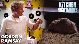 Gordon Finds A MOUSE  Kitchen Nightmares  Gordon Ramsay [upl. by Nirrej]