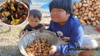 Village Cooking And Eating Silkworm Of Betel Nuts Tree Shao Bipangni Gala Gunjer Jabai Dinwi [upl. by Nnayar]