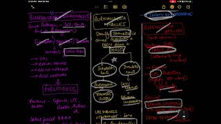 BURKHOLDERIA  RESPIRATORY SYSTEM  MICROBIOLOGY [upl. by Pickford]