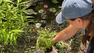 🪴 Patio Planting  How to Make Compost in Place 🪴 [upl. by Eloccin835]