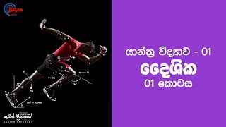 Vectors  Part 01  දෛශික  Sujith Liyanage  Viduna Physics [upl. by Rogerio]