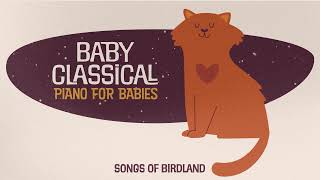 Piano Music for Babies ✬ Baby Classical ✬ Songs for calming your baby [upl. by Shirk966]