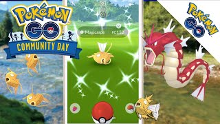 Pokémon GO  Community day magicarpe shiny Vaston exploser le record de shiny [upl. by Griselda124]