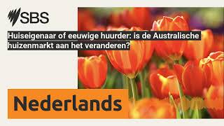 Huiseigenaar of eeuwige huurder is de Australische huizenmarkt aan het veranderen  SBS Dutch [upl. by Ilime541]