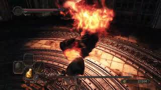 Dark Souls 2 Smelter Demon Boss Fight 1080p 60FPS [upl. by Cos909]