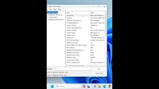 Windows System Information Msinfo32 windows viral computer tech [upl. by Serles]