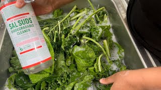 Wash Collard Greens Like Clothes For the CLEANEST Greens 🛑 Using SALT How to Clean Greens [upl. by Bergin342]