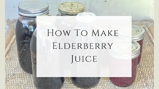 How to Make Elderberry Juice [upl. by Tjader]