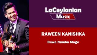 Duwe Numba Mage Pranayai Acoustic  Cover by Raween Kanishka [upl. by Darline]