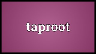 Taproot Meaning [upl. by Goines]