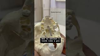 How to extract a tooth like a renowned Oral amp Maxillofacial Surgeon [upl. by Odel]