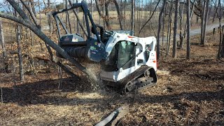 INCREDIBLE BRUSH BEAST Forestry mulcher clearing thick brush [upl. by Nalyac953]