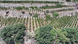 180° View of Vigna Cappero [upl. by Vassaux]