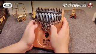 seeds kalimba 41 key kalimbakalimbasongsmarimbas [upl. by Sheff247]