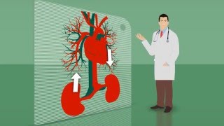 Definição Epidemiologia e Diagnóstico da DRC [upl. by Atiuqahs]