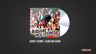 DJEMT E VLORES  VLORE MOJ VLORE  Official Audio [upl. by Tonnie]