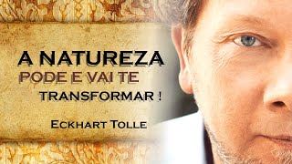 O Poder Transformador da Natureza na Jornada Interior  ECKHART TOLLE DUBLADO [upl. by Lydnek]