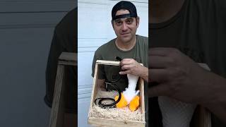 DIY Nesting Boxes For Chicken Coops chickens chickencoop shorts [upl. by Veron]