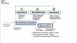 Endocrinología  Academia Mis Cursos 2 [upl. by Uni]