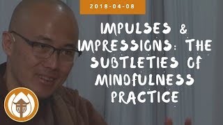 Impulses amp Impressions the Subtleties of Mindfulness Practice  Br Phap Dung  2018 04 08 [upl. by Wilden697]