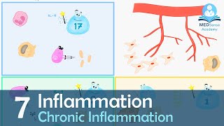 Chronic Inflammation [upl. by Ynaffyt]