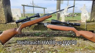 Springer Vs Gas Ram  Weihrauch HW80 Vs HW90 [upl. by Suzi]