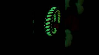 Cynical Solomon Spine Glow in the Dark shorts paracord paracordbracelet handmade bracelet [upl. by Ranip]