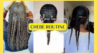 14 Days with Chebe Powder in My Hair  How I Refresh My Braids  Week 7 Growth Challenge [upl. by Neerac]