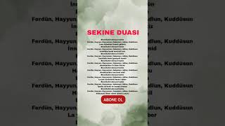 SEKİNE DUASI OKUYANIN HER NE DİLEĞİ VARSA KABUL OLUR keşfet dinivideolar [upl. by Verine]