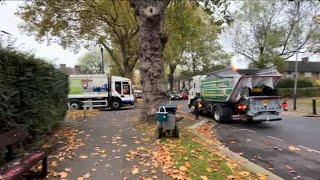 BRAND NEW TRUCK And service IsuzuTerberg Orus Refuse Truck on food wasteMFJ on garden waste [upl. by Cocke190]