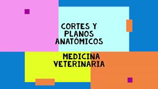 CORTES Y PLANOS ANATÓMICOS en medicina veterinaria [upl. by Pembrook]